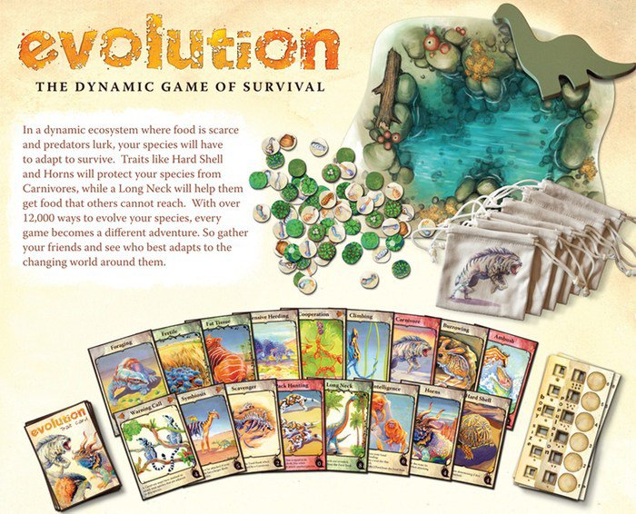 Evolution Review 4