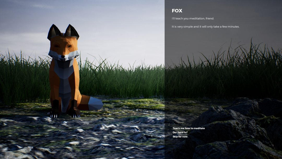 playne fox